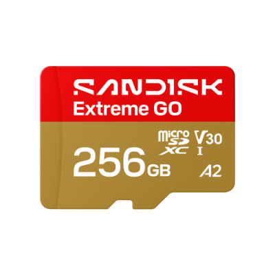 SanDisk Extreme GO 256 GB MicroSDXC UHS-I