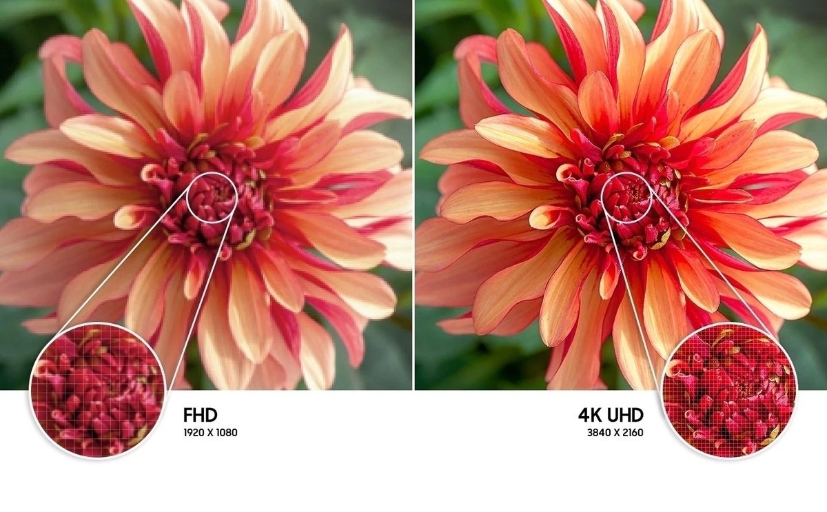 Imagen de una flor que muestra la resolución de alta calidad creada por la tecnología 4K UHD de los televisores Samsung