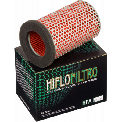 Filtro de aire de recambio OEM HIFLOFILTRO HFA1613
