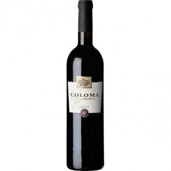 Vino Tinto Coloma Selección Merlot 2019 75CL