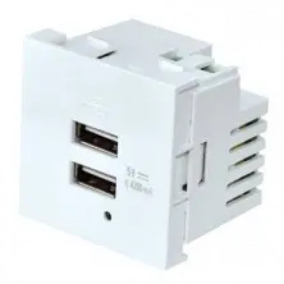 Modulo 45x45 Cargador USB-A Multimedia