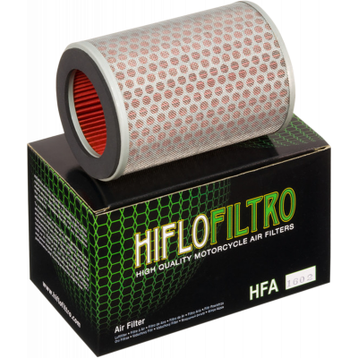 Filtro de aire de recambio OEM HIFLOFILTRO HFA1602