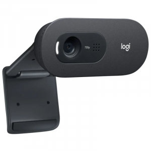 Webcam Logitech C505E HD CON MICROFONO