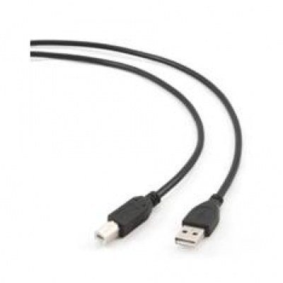 Cable usb ccp - usb2 - ambm - 10 usb a - usb b - macho - macho - 3.04m