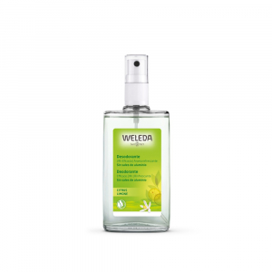 CITRUS desodorante 24h eficacia spray 100 ml