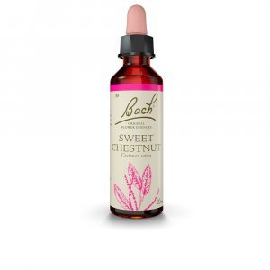 Bach Sweet Chestnut (Castaño Dulce) 20 Ml