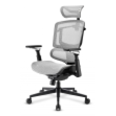 SILLA SHARKOON OFFICEPAL C50M NEGRA