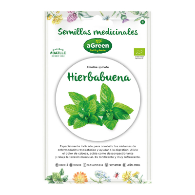 Sobre con semillas de hierbabuena medicinal eco 857005bolsh agreen