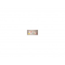 Zebra DT Label Etiqueta 51x25mm