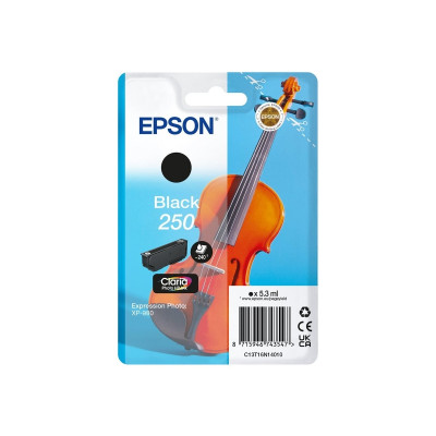 Epson 250 Negro Cartucho de Tinta Original - C13T16N14010