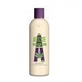 Aussie Hair Nourish Hemp Champú 300ml