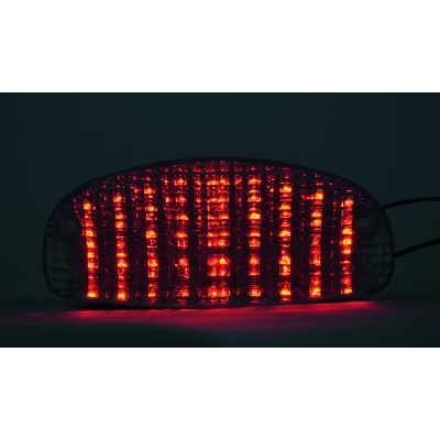 BIHR LED Rear Light with Integrated Indicators Honda Hornet 600 TZH-052-INT