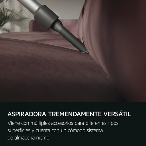Imagen adicional del producto