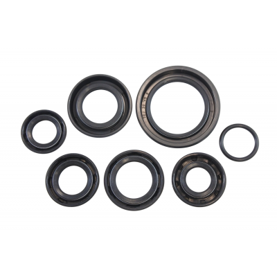 Oil Seal Kit VINTCO KOS003