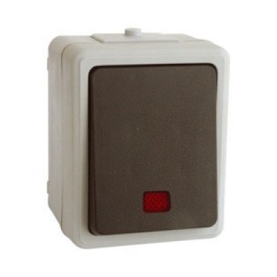 Interruptor Luminoso Superficie Estanco 10A/250Vac IP44