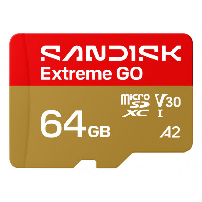 Extreme GO 64 GB MicroSDXC UHS-I