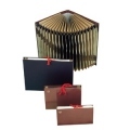 Carpeta Acordeon Fº Fuelle AZ/1-31 Cintas