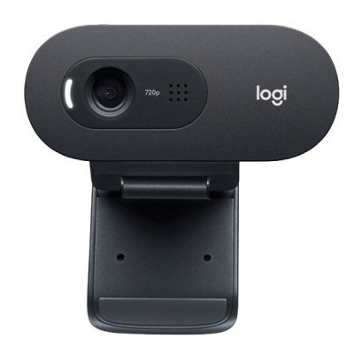 Webcam Logitech C505E/ 1280 x 720 HD