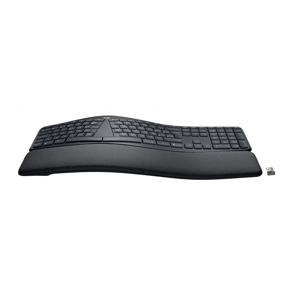 ERGO K860 FOR BUSINESS-GRAPHITEWRLS