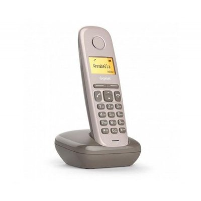 Gigaset A170 Telefono Inalambrico Dect con Identificador de Llamadas - Bloqueo de Teclado - Control de Volumen