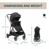 Silla de paseo Chicco Seety Ebony