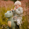 Dinosaurio Saltarin Hippo