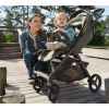 Silla de paseo Anex Rider RD-03 Freshy