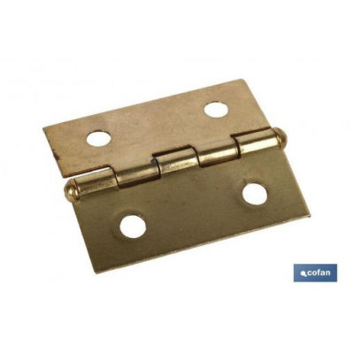 2 Uds Bisagra Hierro Laton 60 X 40