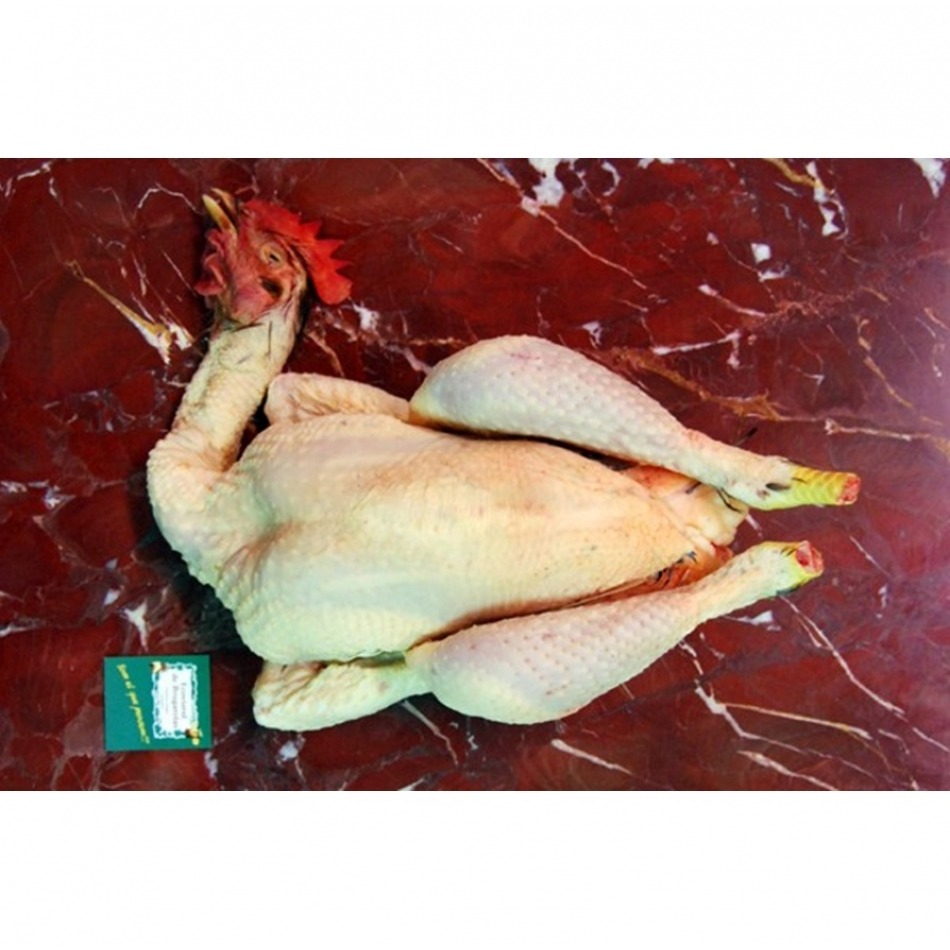 Pollo entero tradicional bio 3kg Ecoviand