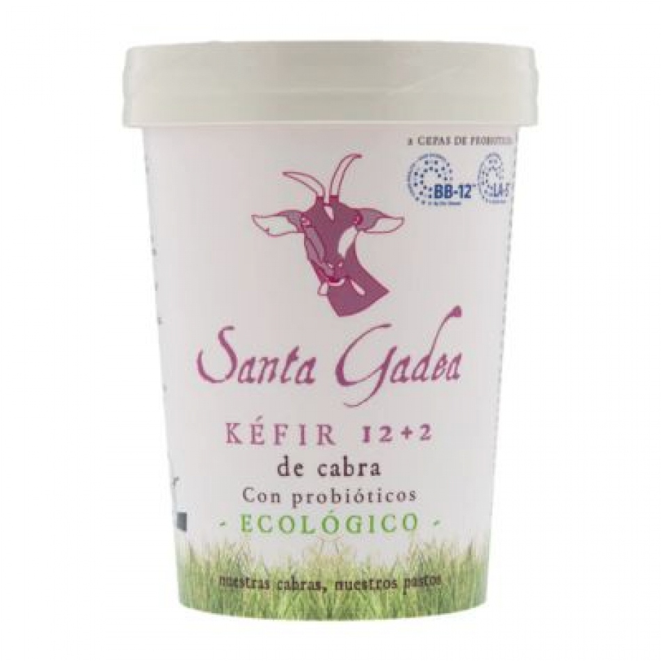 Kefir de Cabra Eco 420gr Santa Gadea