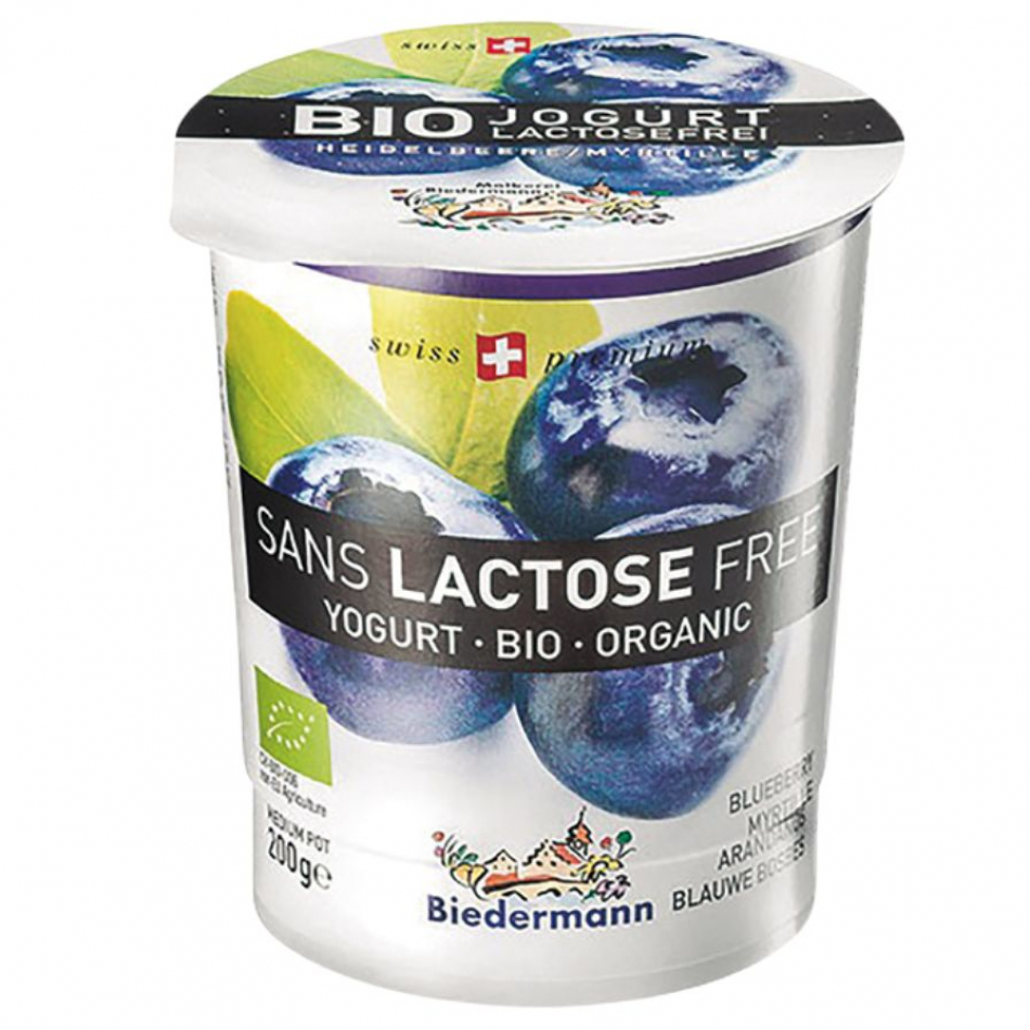 Yogur Sin Lactosa Arándanos Bio 200gr Biedermann