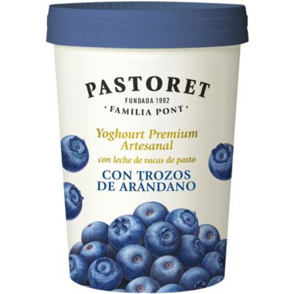 Yogur Artesanal con Trozos de Arandanos 500g El Pastoret