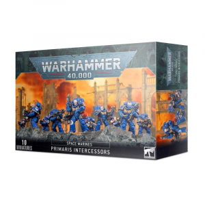 Space Marines Primaris Intercessors (10)