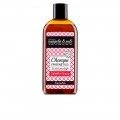 Nuggela & Sulé Epigenetico Champú Cabello Graso 250ml