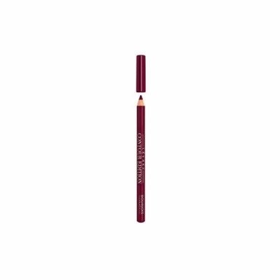 Bourjois Lèvres Contour Edition 09 Plum It Up