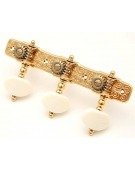 Gotoh 35G510P