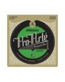 Ej25C Pro-Arte Clear Nylon Composite, Flamenco