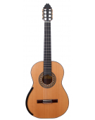 Australian Model - Cedar 2026