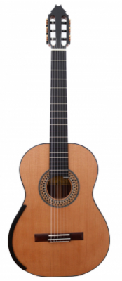 Fernando Mazza - Australian Model - Cedar 2026