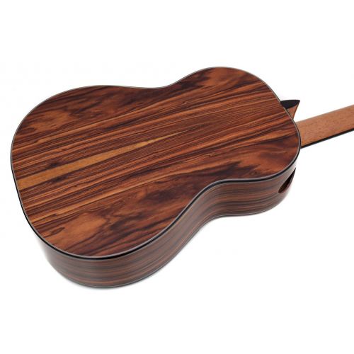 Australian Model - cedar 2026