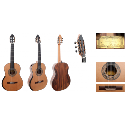 Australian Model - cedar 2026