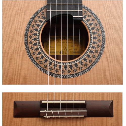 Australian Model - cedar 2026