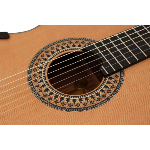 Australian Model - cedar 2026