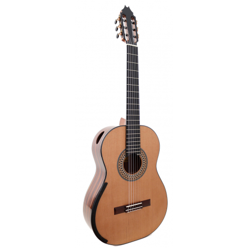 Australian Model - cedar 2026