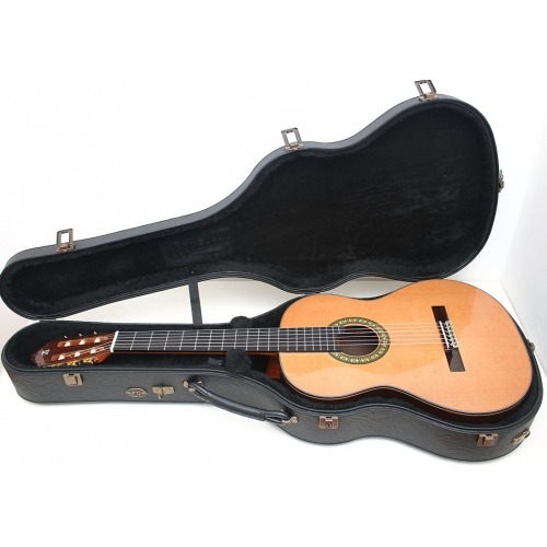 11P - Guitarras de Luthier