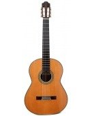 Model 40 Cedar - 2021