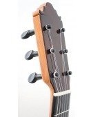 Clavijero Pegheds