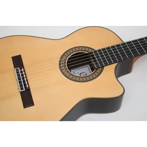 FL 11 C Negra Pro Blend - Guitarras de Luthier