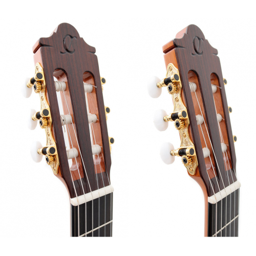 FL 11 C Negra Pro Blend