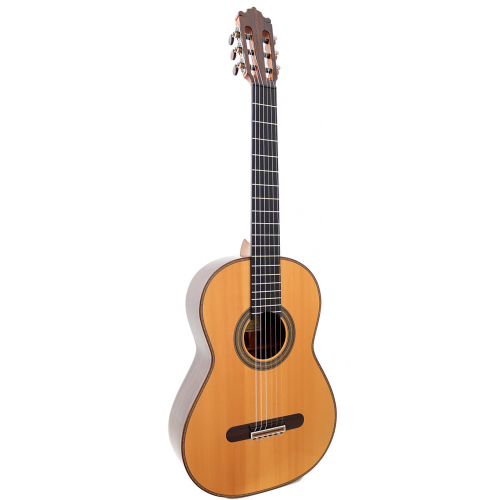 Modelo 640 abeto 2025